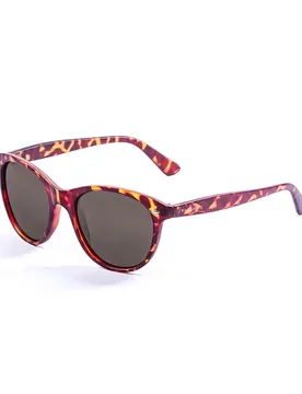 Lunettes De Soleil Polarisées San Francisco Demy Brown Dark Smoke/CAT3 Homme - Paloalto - FashionsVida