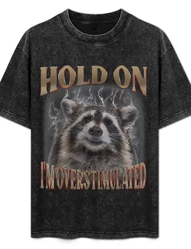 Holds On I'm Overstimulated Vintage Funny Raccoon Meme T-Shirt Casual Loose Fit Summer Tee Shirt - Aliexpress - FashionsVida