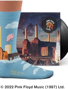 Calcetines de hombre Animals socks de algodón - SOCK AFFAIRS - FashionsVida