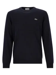 CREWNECKS SWEATERS MALE A male