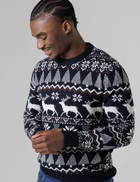 Mens Festive Jacquard Crew Neck Jumper - Tokyo Laundry - FashionsVida