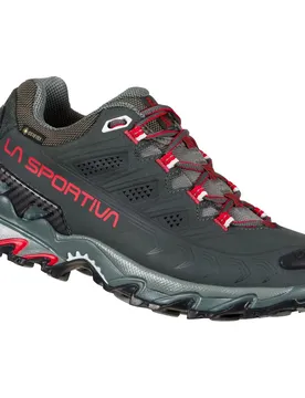 Ultra Raptor II Leather GTX Damen Multifunktionsschuhe, grau, Größe 38 38