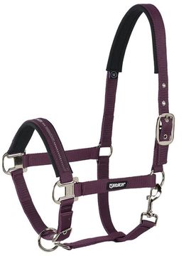 Halfter Pin Buckle, blackberry P2
