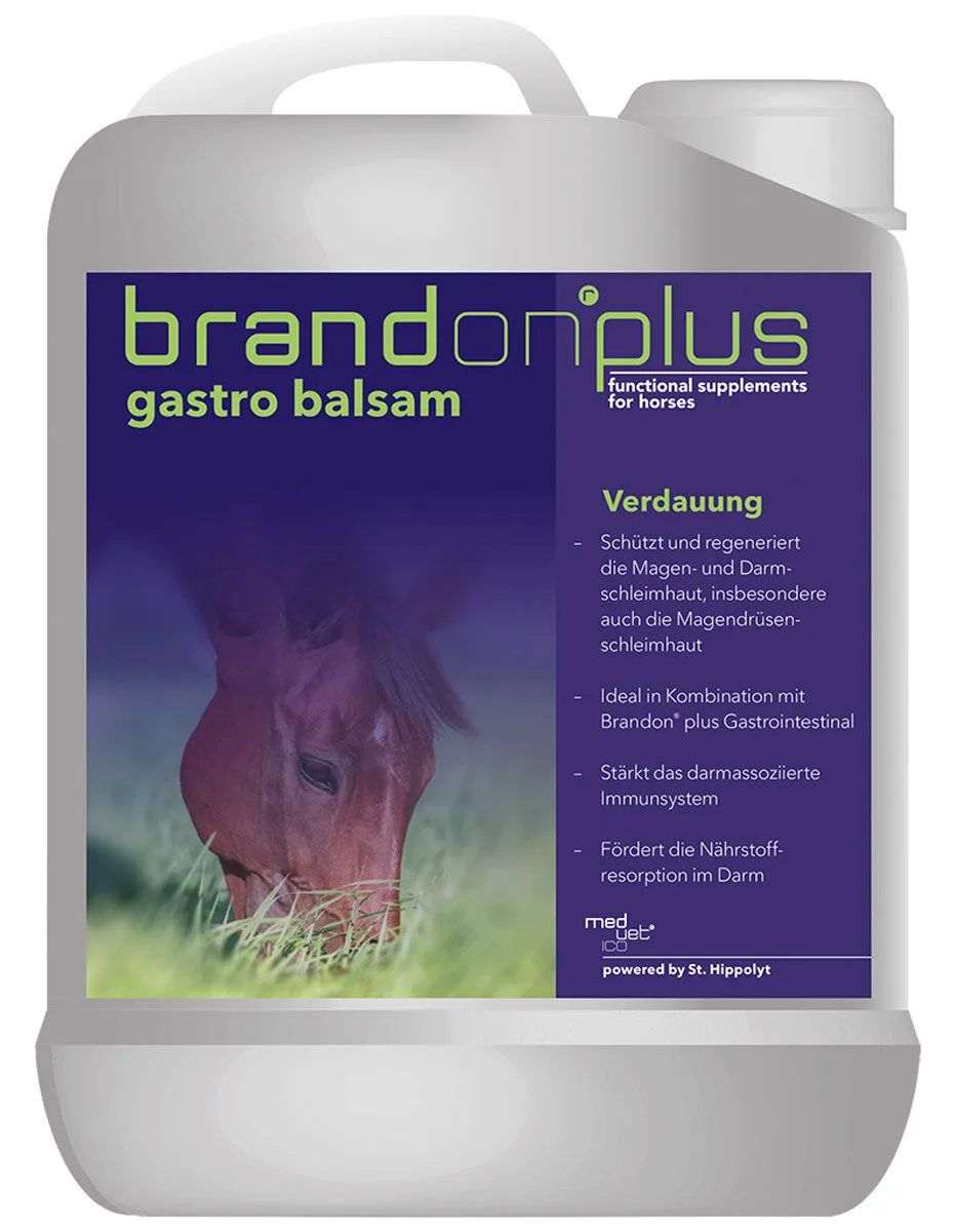 Brandon plus gastro balsam 2,5 Liter - St. Hippolyt - FashionsVida