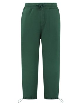 Shiwi Pantalón esmeralda