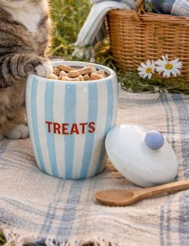 Contenitore in ceramica per snack per animali con coperchio - azzurro