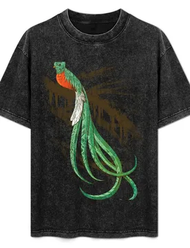 Quetzal T-Shirt Casual Loose Fit Short Sleeve T-Shirt - Aliexpress - FashionsVida