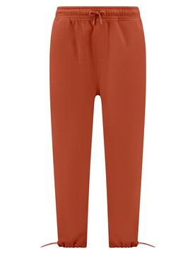 Shiwi Pantalón marrón castaño