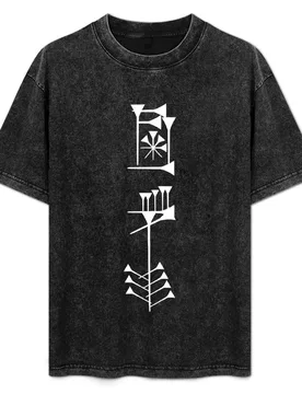 Sumerian Freedom T-Shirt Plus Size Quick Dry Sports Tee - Aliexpress - FashionsVida