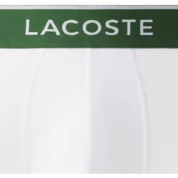 Pack de 3 calzoncillos de algodón elástico con logo en la cintura
