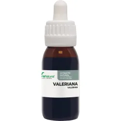 Extracto Valeriana Siglo XXI
