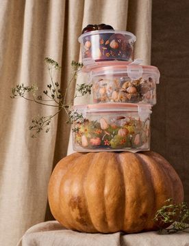 Set di contenitori per alimenti con coperchio e motivo autunnale 3 pack - multicolor