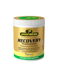 Recovery Shake Banane 540g bunt B
