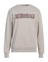 Sweatshirt Herren Maulwurfsgrau L,M,XL Herren