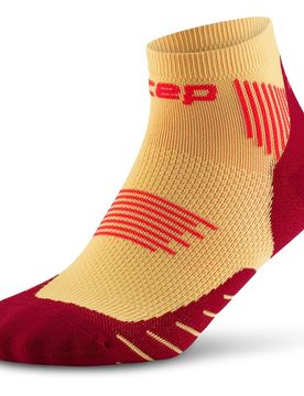 Run 5.0 Low Cut Damen Socken, silber IV