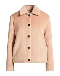 Shearling- & Kunstfell Damen Beige 34,36 Damen
