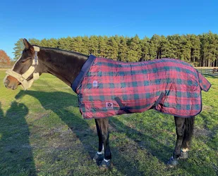 Manski Stalldecke 200g ALASKA, red check 165