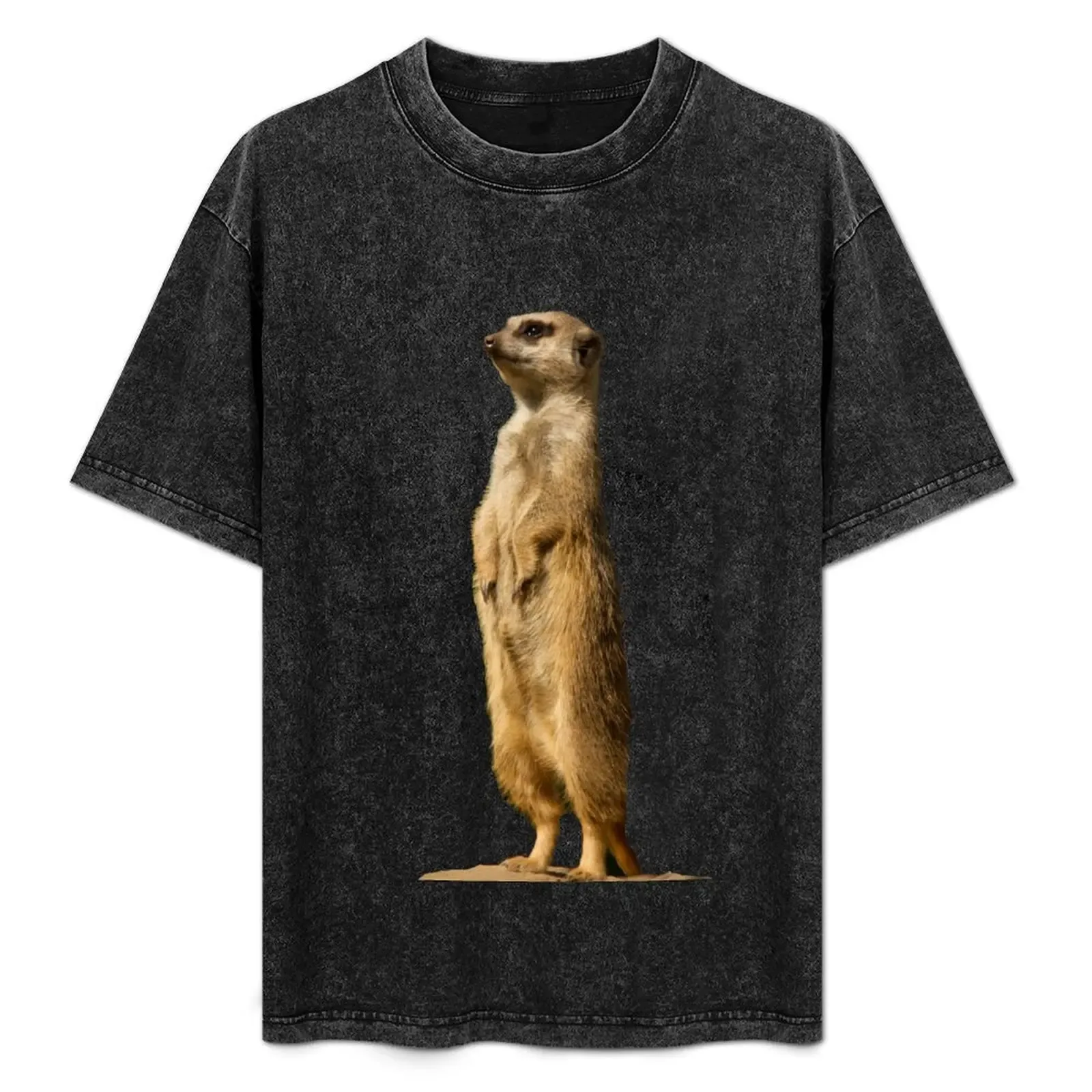 Meerkat T-Shirt Plus Size Quick Dry Sports Tee - Aliexpress - FashionsVida