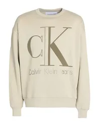 Calvin Sweatshirt Herren Salbeigrün L,M,S Herren