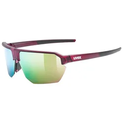 Occhiali Da Sole Vectiv Set Cranberry TransMatt