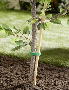 Klettband für Pflanzen 3er-Set