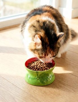 Ciotola per animali con motivo anguria - rosso