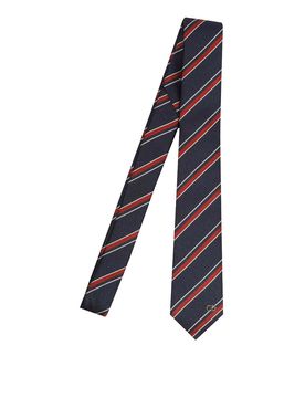 Cravatta valantie multicolo