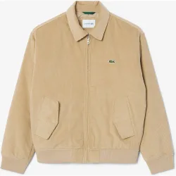 Lacoste - En marrón
