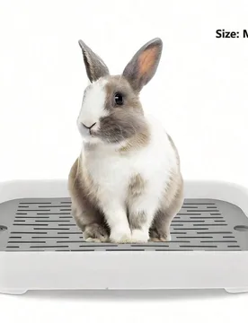 Pieza Inodoro para mascotas cuadrado de doble capa de PP, extraíble y lavable, adecuado para conejos, cobayas y otros animales pequeños, apto para t - Shein - FashionsVida
