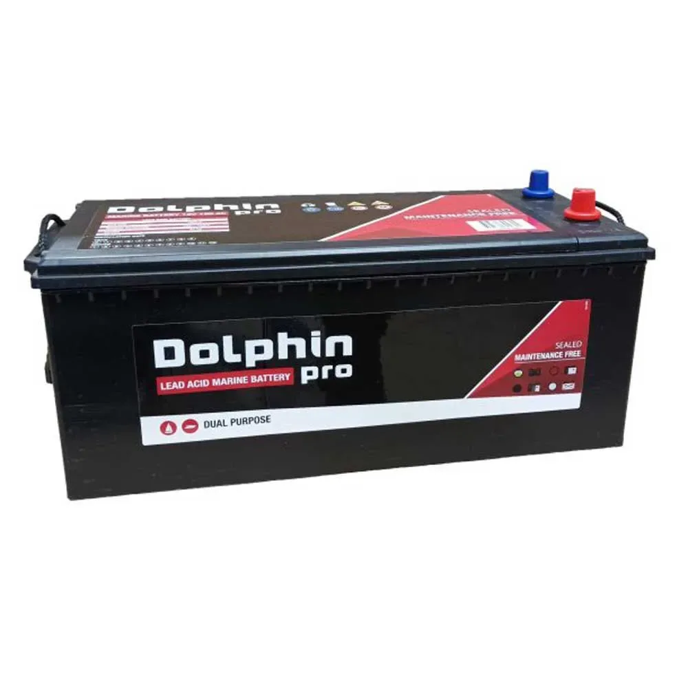Pro Battery 180a Black One Size unisex - Dolphin Charger - FashionsVida