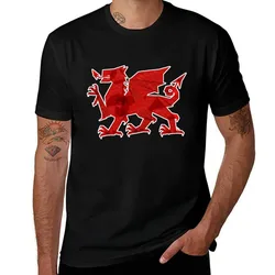 Wales T-Shirt Large Size Casual Tee Shirt