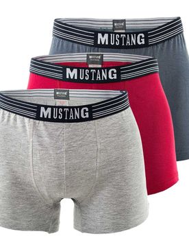 Calzoncillo boxer / /