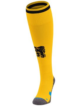 Dynamo Dresden Stutzenstrumpf Home (dynamic yellow / Größe 3 (35-38) / Sonstige Allgemein)