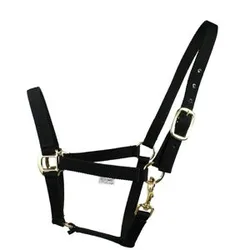 Halfter XTREME Messing Finish - black PONY