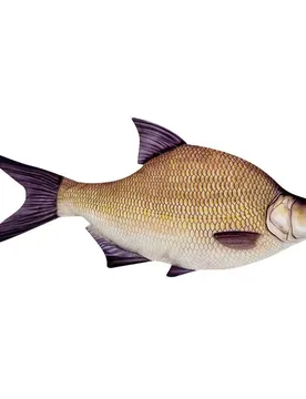 Energoteam Cuscino Bream 701673