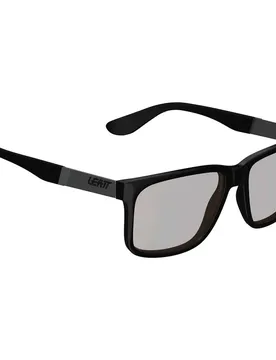 Occhiali Da Sole Polarizzati Theviz Sierra Black / Silver