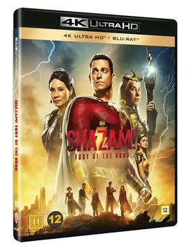 Shazam! Fury Of The Gods Multicolor One Size unisex