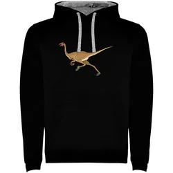 Dino Run Two-colour Hoodie Black / Grey XL Men