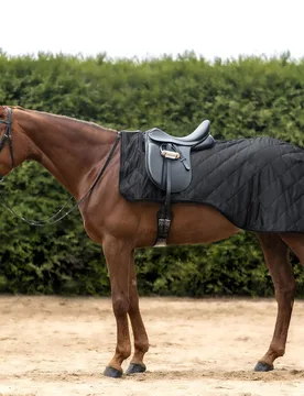 Nierendecke EXCLUSIVE 50g, schwarz PONY - Waldhausen - FashionsVida