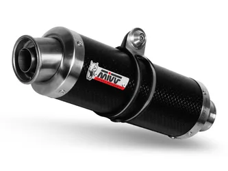 Terminale Gp Carbonio-Carbonio Suzuki Gsx 1250 Fa 2009-2016