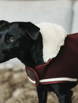 Kentucky Dogwear Hundemantel HEAVY FLEECE bordeaux XXS - Kentucky Horsewear - FashionsVida