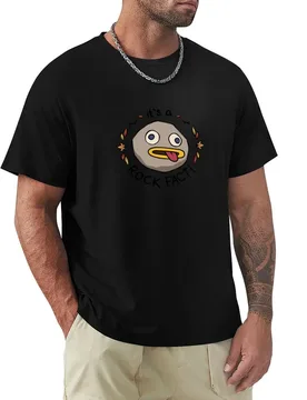 Rock Fact! T-Shirt Plus Size Basic Short Sleeve Top - Aliexpress - FashionsVida