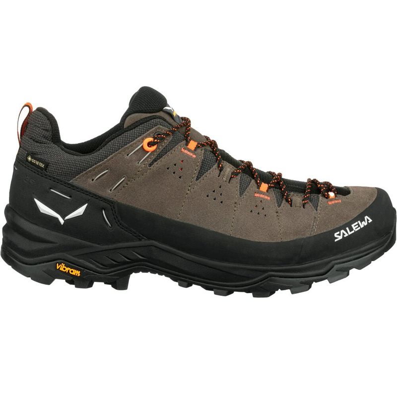 Alp trainer 2 gore tex zapatilla trekking hombre Marron (44)