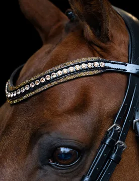 Stirnband IRH MAXIMA brown Cob - Imperial Riding - FashionsVida