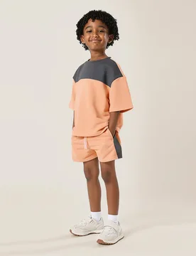 Conjunto de camiseta y pantalones cortos de bloques de color para niños, conjunto de ropa casual de verano con manga corta y paneles coordinados - Shein - FashionsVida