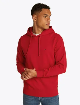 ESSENTIAL TERRY HOODY male