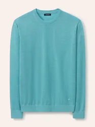 Rundhals-Pullover Merino Extrafein, , Farbe Grün, 56, reine, extrafeine Merinowolle temperaturausgleichend Herren