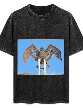 Kirra Sea Eagle T-Shirt Breathable Workout Short Sleeve Top - Aliexpress - FashionsVida