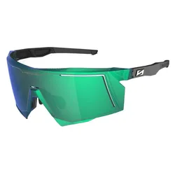 Occhiali Da Sole Aerostorm Black / Green