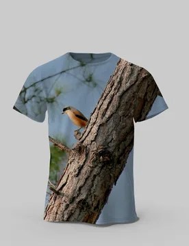 Original Cute 3D Bird Printed Sleeve Short for Men T-shirt Oversized Round Clothing Men's Top Tees - Aliexpress - FashionsVida